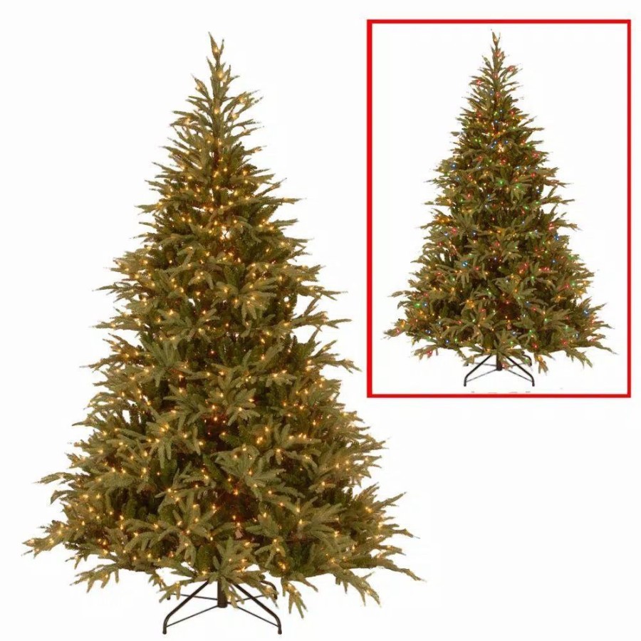 Christmas Trees * | National Tree Company 6 Ft. Frasier Grande Artificial Christmas Tree With Dual Color Led Lights