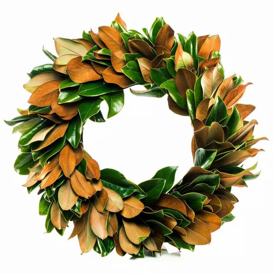 Christmas Greenery * | Van Zyverden 24 In. Classic Magnolia Christmas Wreath