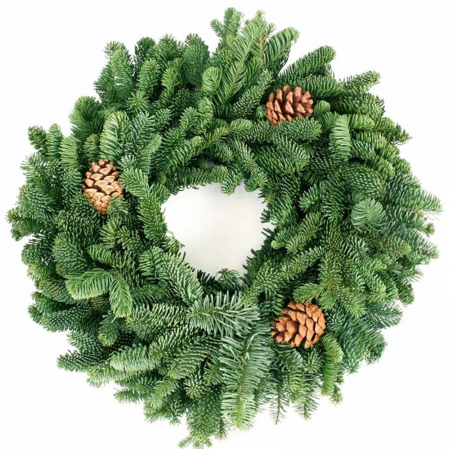 Christmas Greenery * | Van Zyverden 16 In. Live Fresh Cut Pacific Northwest Noble Fir Christmas Wreath With Cones