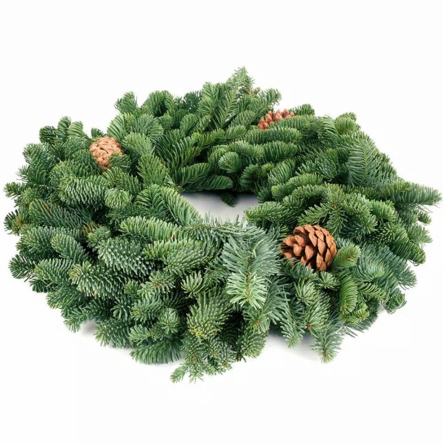 Christmas Greenery * | Van Zyverden 16 In. Live Fresh Cut Pacific Northwest Noble Fir Christmas Wreath With Cones