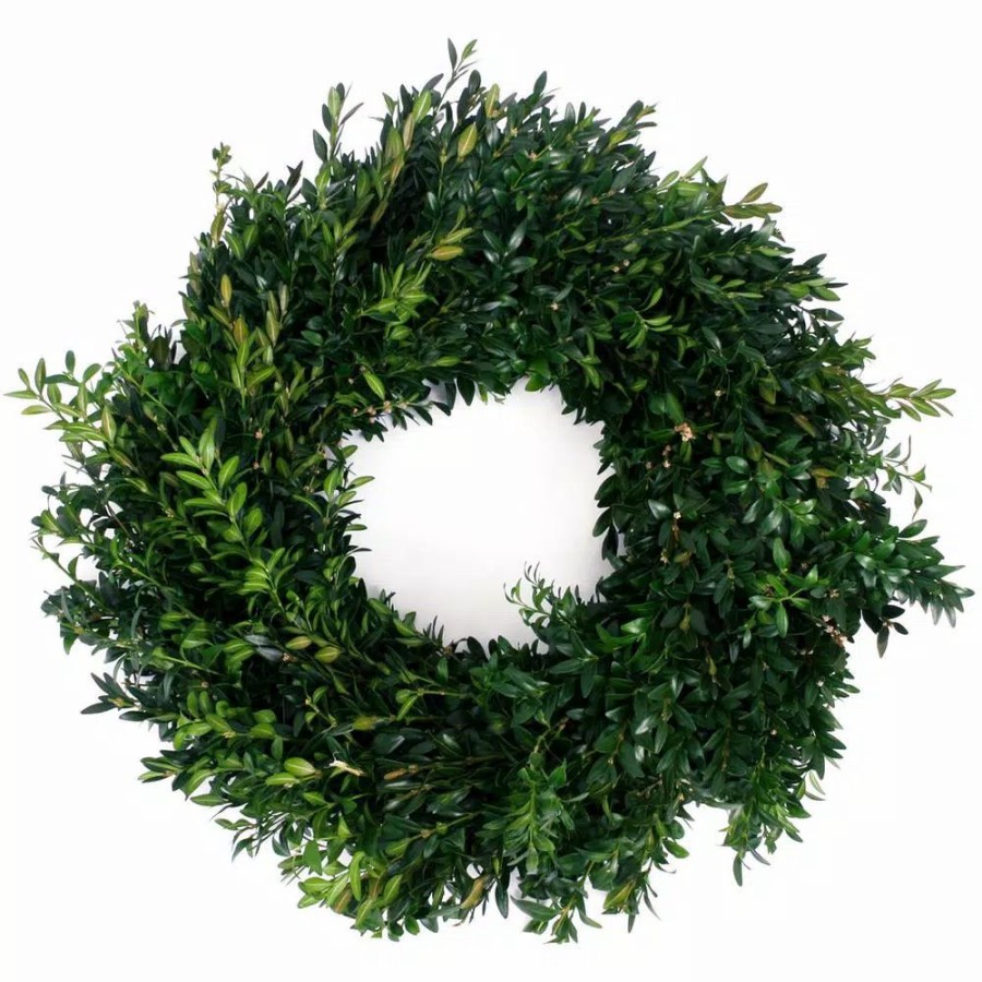 Christmas Greenery * | Van Zyverden 22 In. Live Fresh Cut Blue Ridge Mountain Box Wood Christmas Wreath