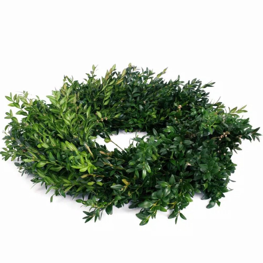 Christmas Greenery * | Van Zyverden 22 In. Live Fresh Cut Blue Ridge Mountain Box Wood Christmas Wreath