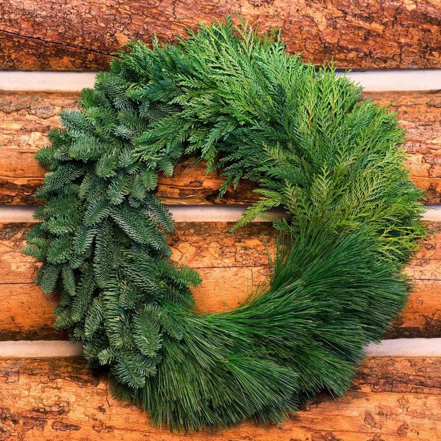 Christmas Greenery * | Van Zyverden 24 In. Live Fresh Cut Pacific Northwest Modern Block Christmas Wreath