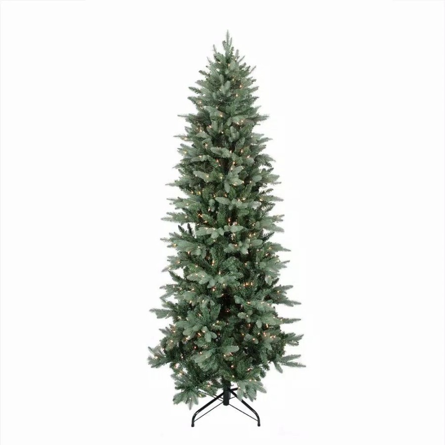 Christmas Trees * | Northlight 12 Ft. X 62 In. Pre-Lit Washington Frasier Fir Slim Artificial Christmas Tree Clear Lights